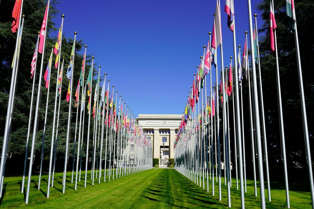 Drapeaux internationaux représentant les services de traduction pour différents secteurs