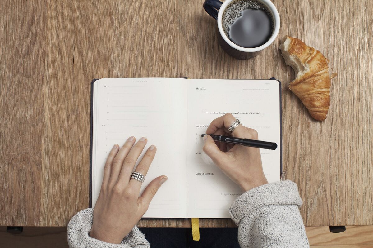 Professional proofreading services